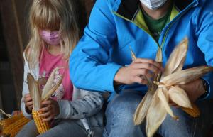 LIČKANJE KORUZE V IVANJEM SELU 05 FOTO LJUBO VUKELIČ